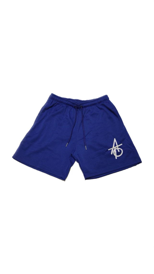 Against The Odds Mesh Shorts ( Blue )