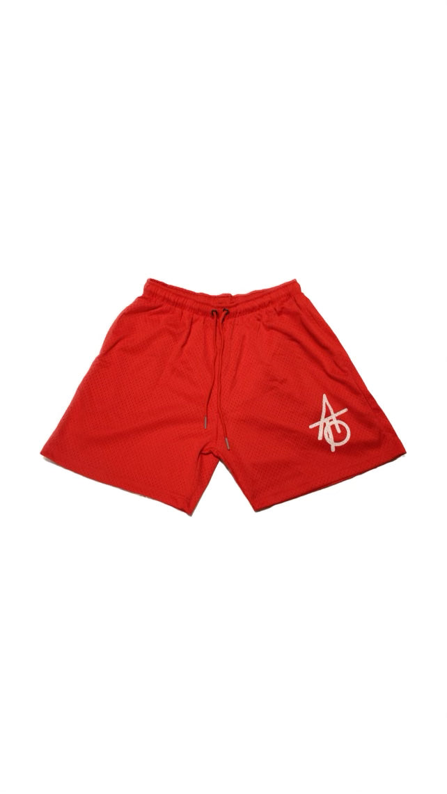 Against The Odds Mesh Shorts ( Red )