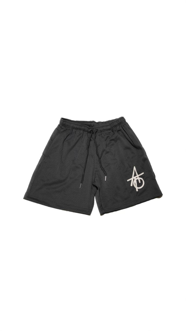 Against The Odds Mesh Shorts ( Grey )